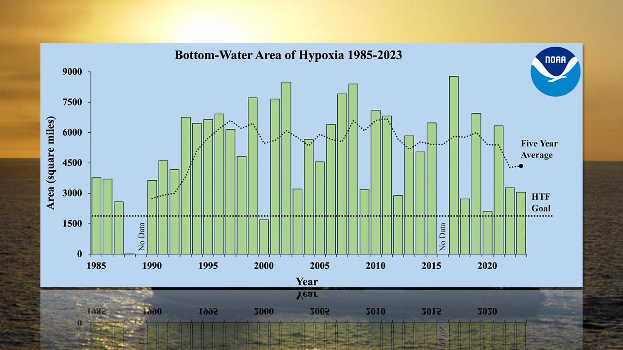 Fluctuations de la zone hypoxique de 1985 à 2023 [NOAA/Wikipedia - Chad Teer]