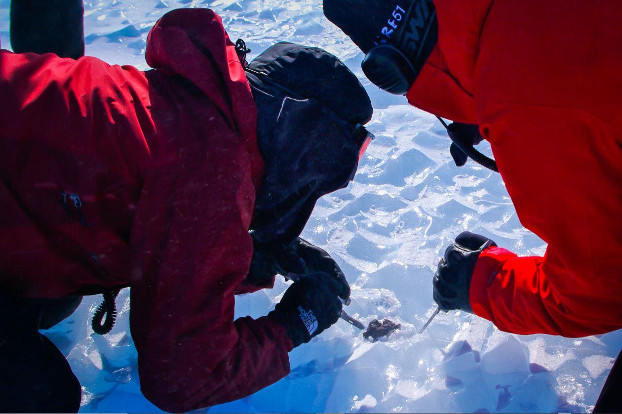 I meteoriti in Antartide sono minacciati dal riscaldamento globale – rts.ch