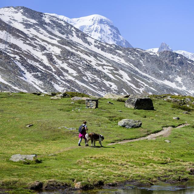 En Suisse, les chemins de randonnées sont menacés par l'emballement climatique et les catastrophes naturelles. [Keystone - Leandre Duggan]