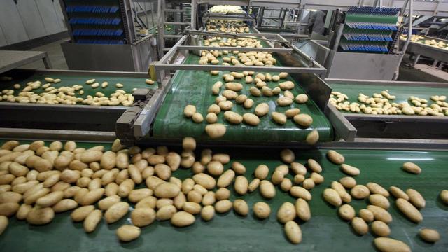 Les producteurs de patates tirent la sonnette d'alarme à cause de l'instabilité météorologique. [Biosphoto via AFP - CLAUDIUS THIRIET]