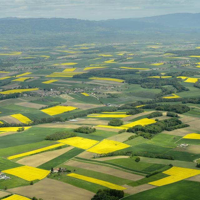Les sols du Pied du Jura seront étudiés dans le cadre d'un projet pilote de cartographie. [Keystone - Laurent Gillieron]