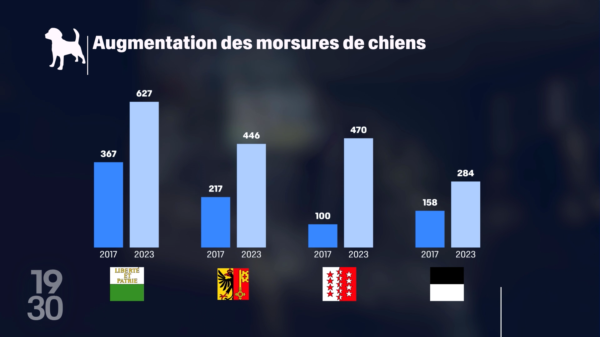 La hausse des morsures de chiens ces dernières années dans quatre cantons romands.