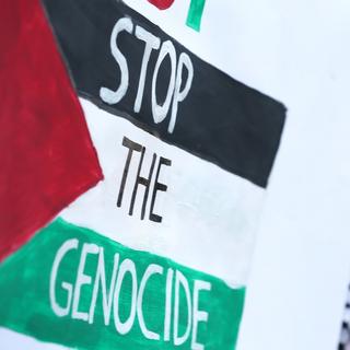 Une femme se cache derrière une pancarte avec le drapeau palestinien sur lequel est inscrit "Stop au génocide". [Keystone/EPA - Andrej Cukic]
