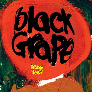 Le duo britannique Black Grape mélange rock, punk et culture rave 90s dans son 4e album. [DGAFF Recordings - DR]