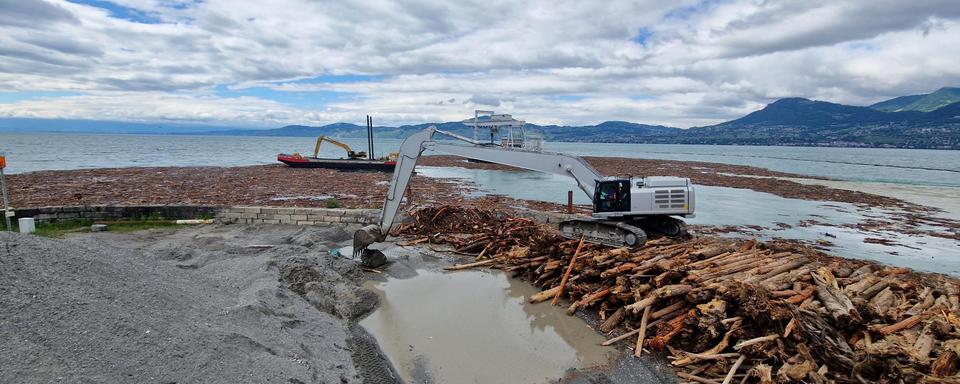 A Port-Valais, le bois arrivé du Valais par le Rhône doit être évacué du Léman pour ne pas perturber les bateaux. [RTS - Romain Carrupt]