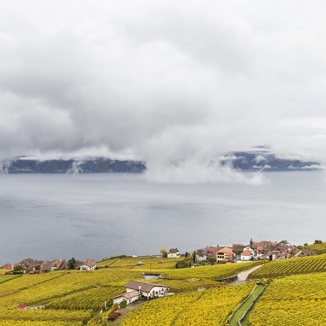 Le Lac Léman photographié depuis les vignes du Lavaux (VD), le 25 octobre 2016 (image d'illustration). [keystone - Cyril Zingaro]