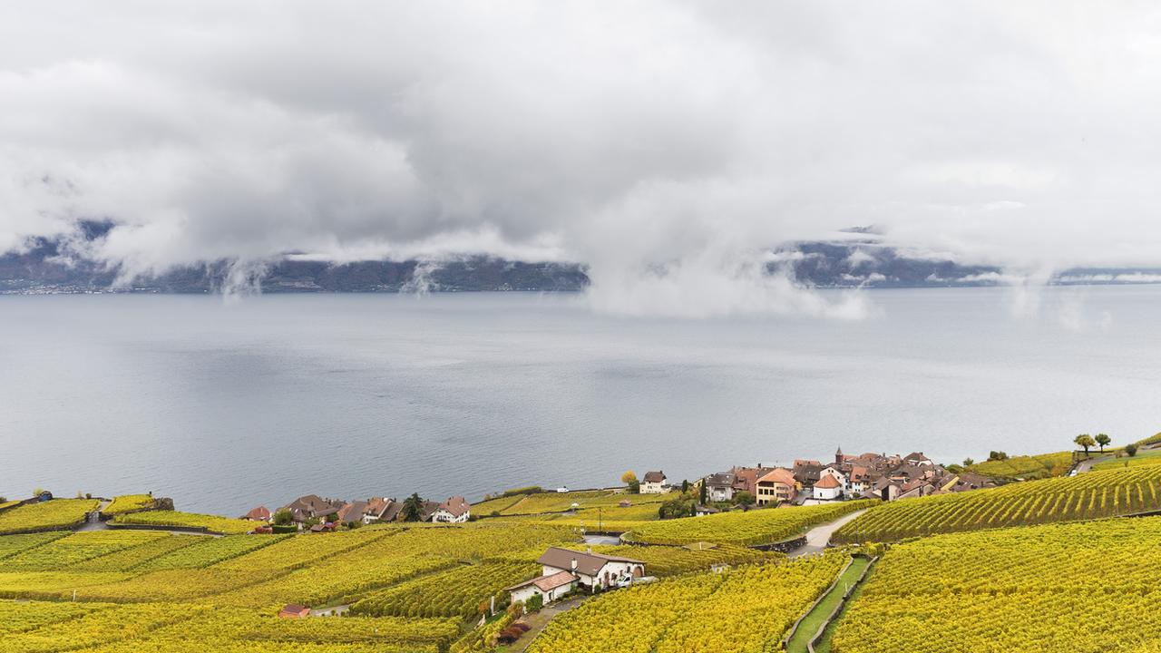 Le Lac Léman photographié depuis les vignes du Lavaux (VD), le 25 octobre 2016 (image d'illustration). [keystone - Cyril Zingaro]