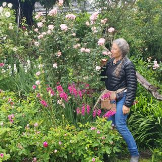 Anna Urben Pitschen cultive plus de 300 variétés de roses dans son jardin de Lavey. [RTS - X. Bloch]