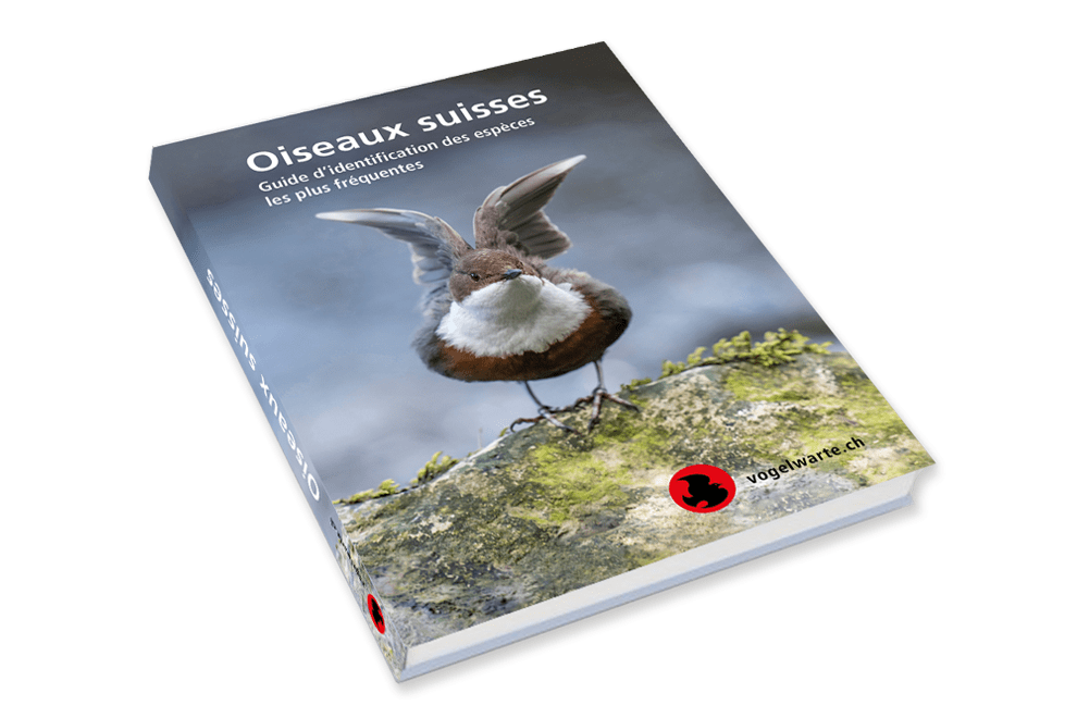 La Station ornithologique de Sempach a publié nombre d'ouvrages de référence sur les oiseaux suisses. [DR - Sempach]