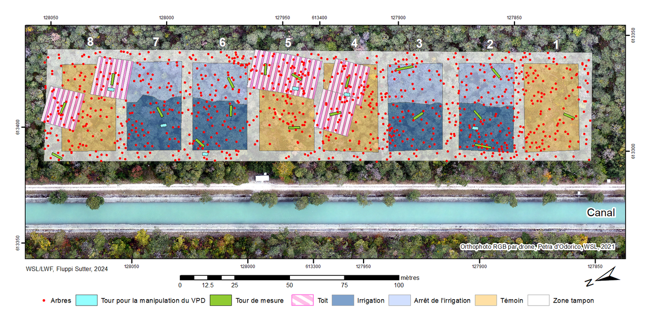 La plateforme de recherche du Bois de Finges consiste en quatre parcelles irriguées et quatre parcelles témoins (25 x 40 mètres, chacune avec 60-100 arbres). Dans les zones bleu clair, l'irrigation a été interrompue temporairement fin 2013. [WSL - Graphique: F. Sutter]