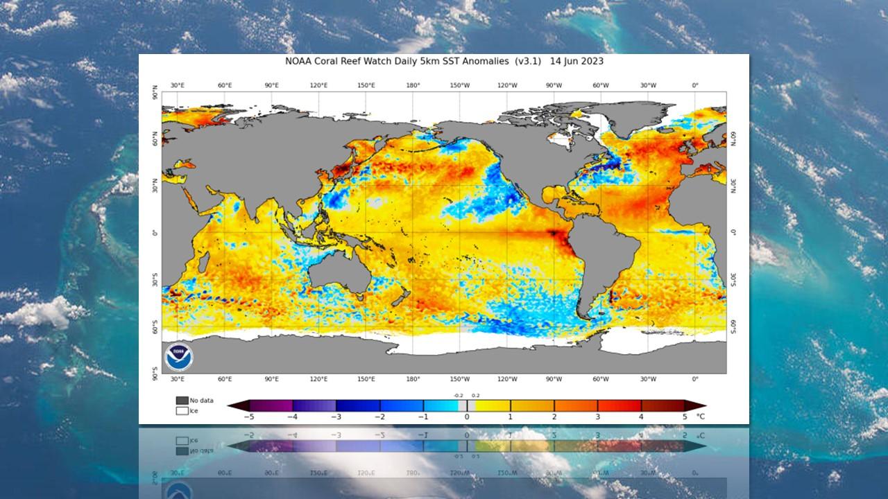 Anomalies de températures à la surface de l'océan relevés pendant l'épisode de 2023 [NOAA/Wikipedia]