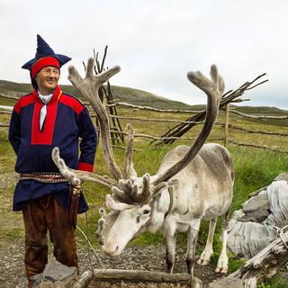 Éleveur de cerfs et de rennes Sami en Norvège [Depositphotos - TravelFaery]