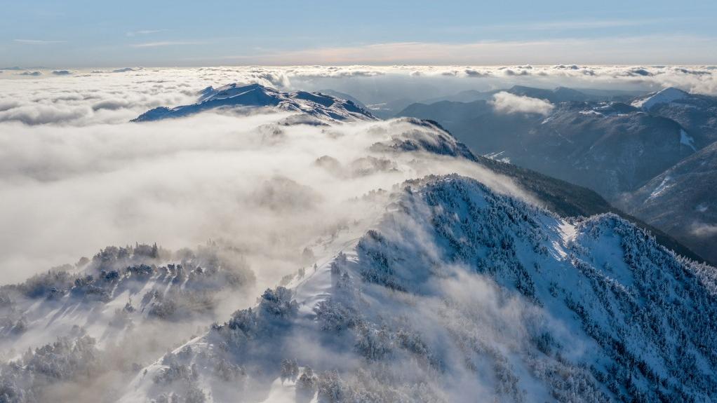 Le Crêt de la neige se situe dans la partie française du Jura. [Biosphoto via afp - Stephane Godin]