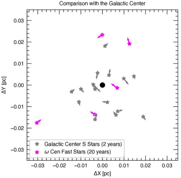 Le mouvement physique observé de l'échantillon d'étoiles rapides de l'étude (en rose) est comparé avec les étoiles S (en gris) en orbite autour du trou noir Sgr A* dans le centre de notre galaxie, la Voie Lactée. En raison de la masse du trou noir de Sgr A*, environ ∼100 fois plus élevée, les scientifiques s'attendent à ce que les mouvements soient ∼10 fois plus rapides et les périodes des étoiles ∼10 fois plus courtes. L'équipe montre le mouvement pendant 2 ans pour les étoiles S, à comparer aux 20 ans pendant lesquels ont été observées les étoiles de ω Centauri. [nature.com - Maximilian Häberle & al.]