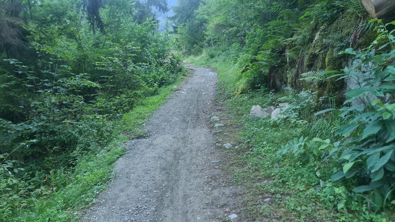 Le sentier de la Sasse qui permet de rejoindre à la marche ou à vélo le village de Lourtier. [RTS - Emilien Verdon]