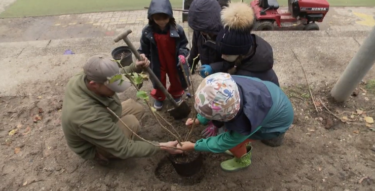 Les enfants plantent des arbres, 120 exactement pour symboliser le 120ème anniversaire du collège. [RTS]