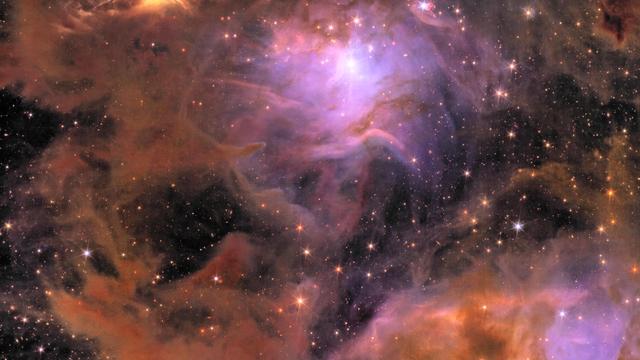 La nébuleuse Messier 78 se trouve à 1300 années-lumière, dans la constellation d'Orion. Ici, un détail montrant la nébuleuse lumineuse NGC 2071. [ESA/Euclid/Euclid Consortium/NASA - image processing by J.-C. Cuillandre (CEA Paris-Saclay), G. Anselmi; CC BY-SA 3.0 IGO]