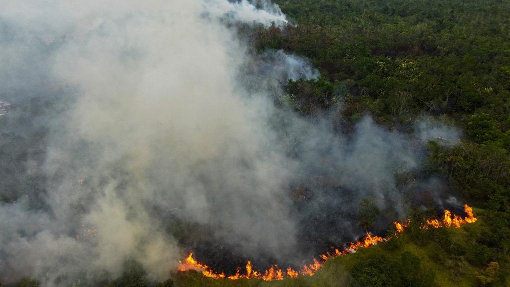 La déforestation en Amazonie a reculé de moitié en 2023. [AFP - MICHAEL DANTAS]