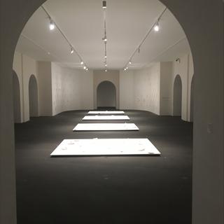Une photo de l'exposition de Nicolas Muller "A force" au musée Ariana. [RTS - Florence Grivel]