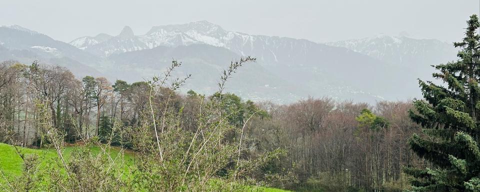 La Dent de Jaman et les Rochers-de-Naye depuis Jongny. [RTS - Victorien Kissling]