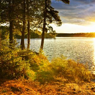 Un lac dans une forêt. [Depositphotos - elenathewise]