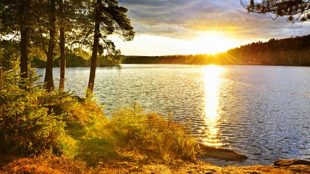 Un lac dans une forêt. [Depositphotos - elenathewise]