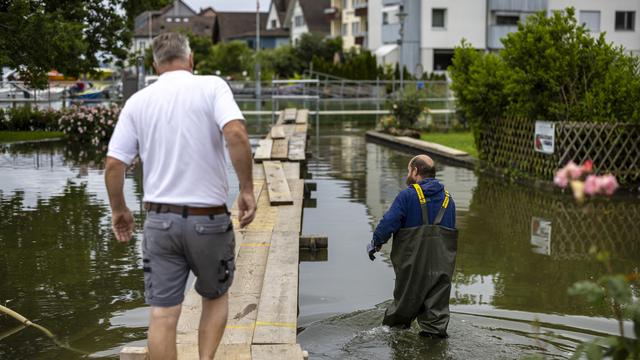 Le lac de Constance en proie à une invasion de moustiques en lien avec les intempéries. [KEYSTONE - MICHAEL BUHOLZER]