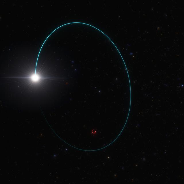 Le trou noir stellaire le plus massif de notre galaxie (hormis Sgr A*) a été découvert grâce au mouvement d'oscillation qu'il induit sur une étoile compagnon. Cette image d'artiste montre les orbites de l'étoile et du trou noir, baptisé Gaia BH3, autour de leur centre de masse commun. L'oscillation a été mesurée pendant plusieurs années par la mission Gaia (ESA). Des données supplémentaires provenant d'autres télescopes, notamment le VLT de l'ESO au Chili, ont confirmé que la masse de ce trou noir est 33 fois supérieure à celle de notre Soleil. La composition chimique de l'étoile compagnon suggère que le trou noir s'est formé après l'effondrement d'une étoile massive contenant très peu d'éléments lourds, ou métaux, comme le prévoit la théorie. [ESO - L. Calçada]