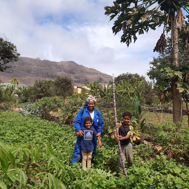 Cap-Vert, un système d’irrigation plus fort que la sécheresse à Fajã. [RTS - Quentin Bleuzen]