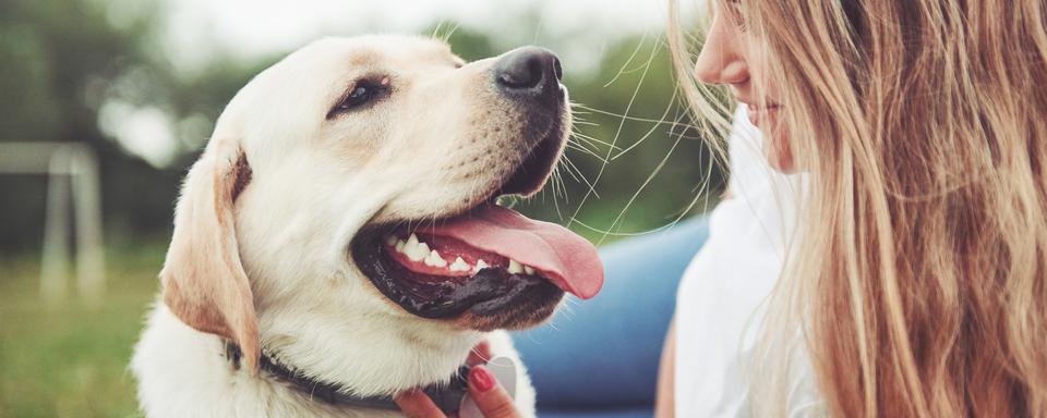 Une jeune fille et son labrador. [Depositphotos - Myronstandret]