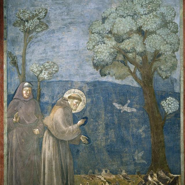 "La Prédication aux oiseaux", par Giotto. [AFP - © Collection Roger-Violle]