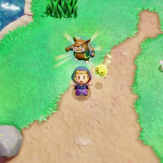 Image tirée du jeu vidéo "The Legend of Zelda: Echoes of Wisdom" [Nintendo]