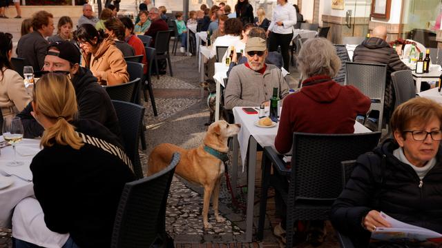 Les chiens sont les bienvenus dans un restaurant qui leur est dédié à Rome (image d'illustration). [Reuters - Jon Nazca]