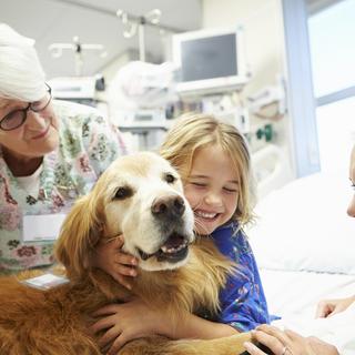 Un chien de zoothérapie assiste une jeune patiente à l'hôpital. [Depositphotos - Monkeybusiness]