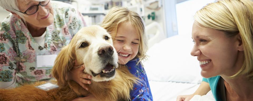 Un chien de zoothérapie assiste une jeune patiente à l'hôpital. [Depositphotos - Monkeybusiness]