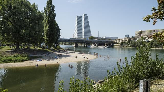 Birskoepfli et la confluence de la Birse dans le Rhin, photographiée ici le mardi 22 août 2023 à Birsfelden (BL). [Kesytone - Christian Beutler]