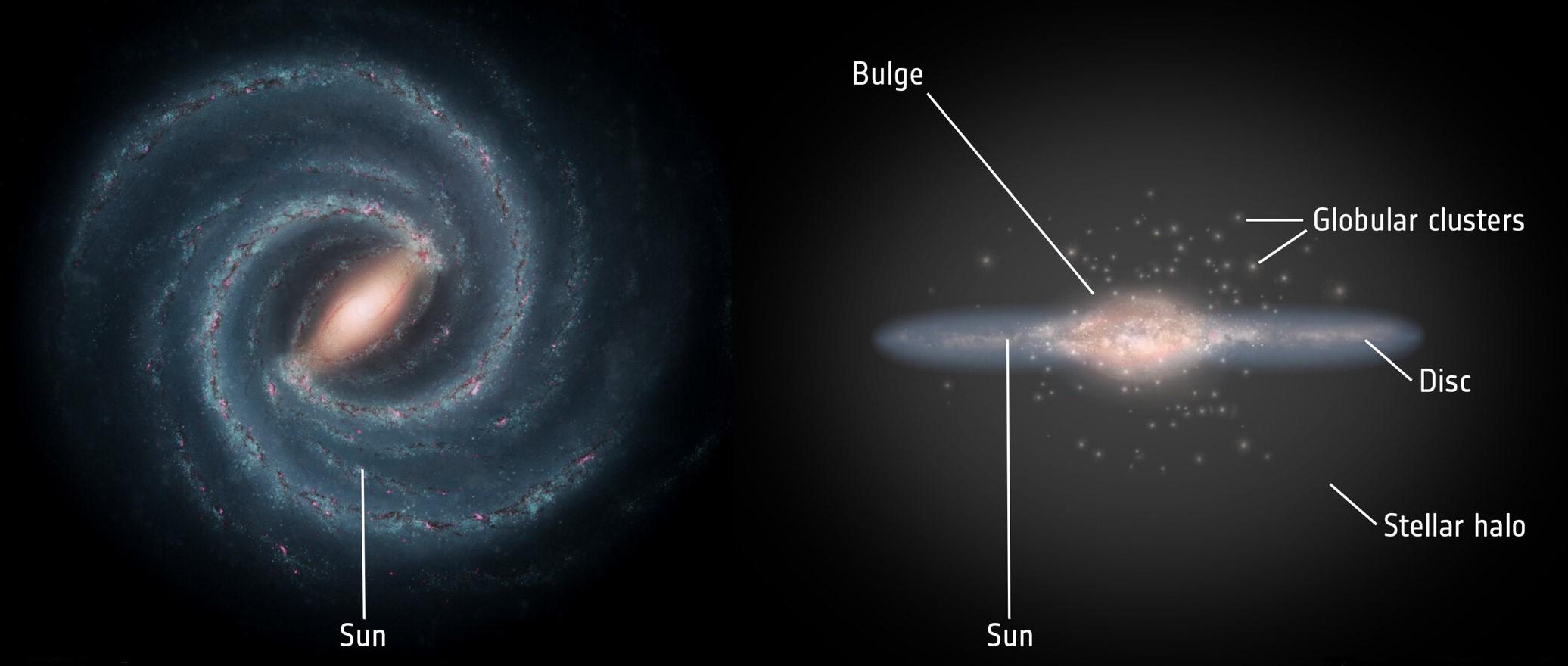 À gauche, la structure en spirale du disque galactique, où se trouvent la majorité des étoiles, entremêlées d'un mélange diffus de gaz et de poussière cosmique. Le disque mesure environ 100'000 années-lumière de diamètre; le Soleil se trouve à peu près à mi-chemin entre son centre et sa périphérie.À droite, la forme aplatie du disque. Les observations révèlent l'existence d'une sous-structure: un fin disque de quelque 700 années-lumière de haut noyé dans un disque d'une épaisseur d'environ 3000 années-lumière peuplé d'étoiles plus anciennes.Visible également, le renflement galactique, situé dans la partie centrale de la Voie lactée, abrite environ 10 milliards d'étoiles, principalement vieilles et rouges. Ce renflement a une forme générale allongée qui ressemble à une barre en forme de cacahuète, avec une demi-longueur d'environ 10'000 années-lumière, ce qui fait de la Voie lactée une galaxie spirale barrée.Au-delà se trouve le halo stellaire, une structure à peu près sphérique d'un rayon d'environ 100'000 années-lumière, contenant des étoiles isolées ainsi que de nombreux amas globulaires – de grands conglomérats compacts d'étoiles parmi les plus anciennes de la galaxie. À plus grande échelle, la Voie lactée est entourée d'un halo encore plus vaste de matière noire invisible. [Right: ESA; layout: ESA/ATG medialab - Left: NASA/JPL-Caltech]