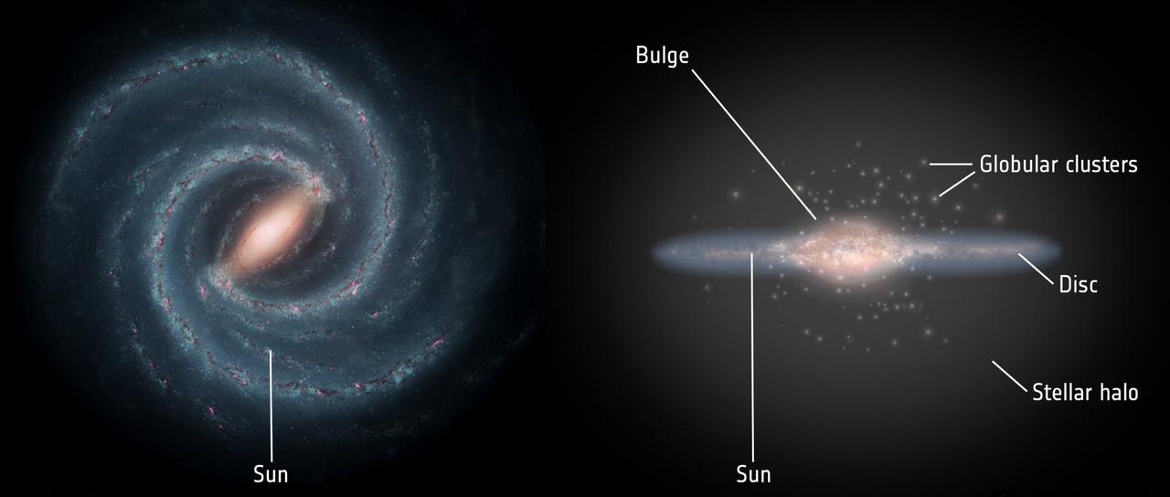 À gauche, la structure en spirale du disque galactique, où se trouvent la majorité des étoiles, entremêlées d'un mélange diffus de gaz et de poussière cosmique. Le disque mesure environ 100'000 années-lumière de diamètre; le Soleil se trouve à peu près à mi-chemin entre son centre et sa périphérie.À droite, la forme aplatie du disque. Les observations révèlent l'existence d'une sous-structure: un fin disque de quelque 700 années-lumière de haut noyé dans un disque d'une épaisseur d'environ 3000 années-lumière peuplé d'étoiles plus anciennes.Visible également, le renflement galactique, situé dans la partie centrale de la Voie lactée, abrite environ 10 milliards d'étoiles, principalement vieilles et rouges. Ce renflement a une forme générale allongée qui ressemble à une barre en forme de cacahuète, avec une demi-longueur d'environ 10'000 années-lumière, ce qui fait de la Voie lactée une galaxie spirale barrée.Au-delà se trouve le halo stellaire, une structure à peu près sphérique d'un rayon d'environ 100'000 années-lumière, contenant des étoiles isolées ainsi que de nombreux amas globulaires – de grands conglomérats compacts d'étoiles parmi les plus anciennes de la galaxie. À plus grande échelle, la Voie lactée est entourée d'un halo encore plus vaste de matière noire invisible. [Right: ESA; layout: ESA/ATG medialab - Left: NASA/JPL-Caltech]