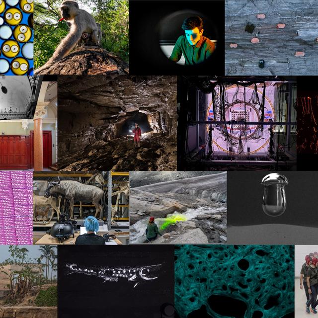 Les 18 photographies lauréates du Concours FNS d'images scientifiques 2024. [FNS]
