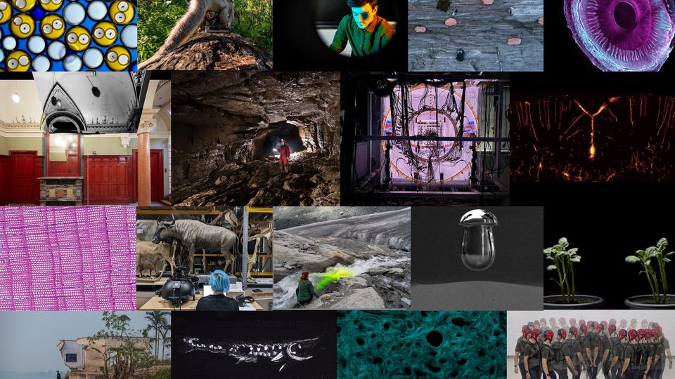 Les 18 photographies lauréates du Concours FNS d'images scientifiques 2024. [FNS]