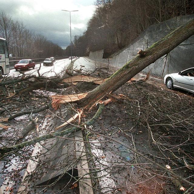 Les dégats du dévastateur ouragan Lothar, le 26 décembre 1999. [KEYSTONE - Alessandro della Valle]