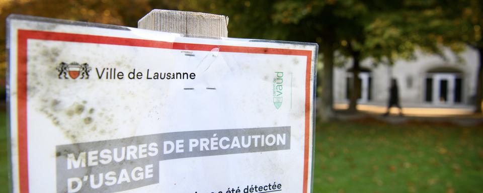 Le mécontentement des habitants et propriétaires grandit devant l'absence de plan d'assainissement des quartiers lausannois pollués à la dioxine. [Keystone - Laurent Gillieron]