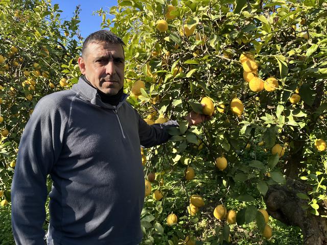 Juan Bedoya, producteur de citrons [RTS - Cédric Guigon]