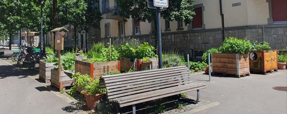 La rue du Nord à Vevey (VD). [RTS - Xavier Bloch]