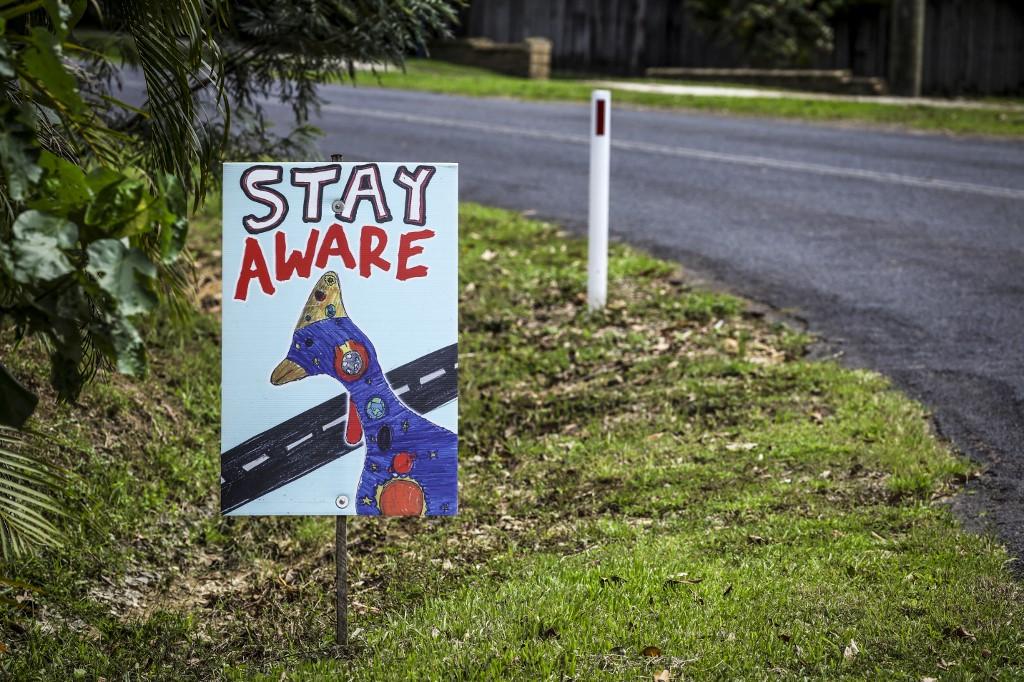 Un panneau incite les automobilistes à faire attention aux casoars à casque sur une route de la commune australienne d'Etty Bay, dans le nord de l'Etat du Queensland. [AFP - DAVID GRAY]