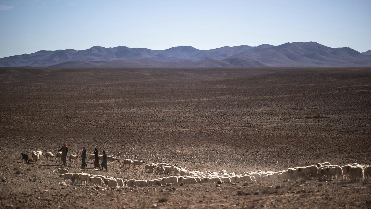 Le Royaume-Uni va importer de l'électricité produite au Maroc pour l'approvisionnement de 7 millions de foyers britanniques, ce que certains critiquent comme du "colonialisme vert". [Keystone/AP Photo - Mosa'ab Elshamy]