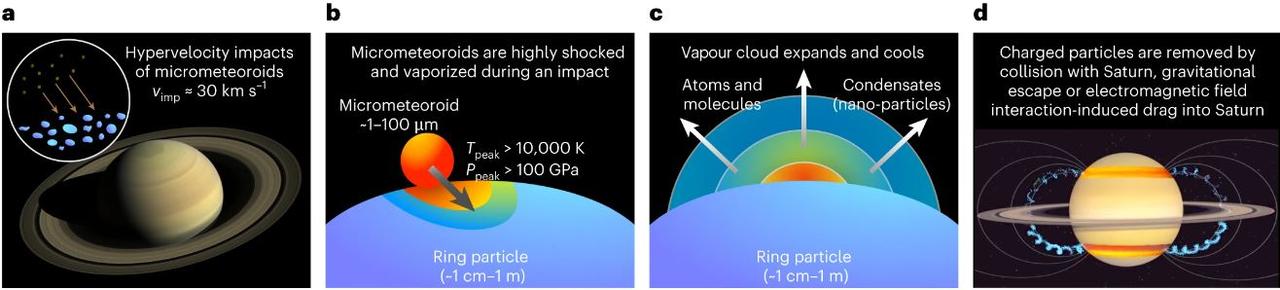 (a) Des micrométéorites frappent régulièrement, et à la vitesse de 30 km/s, les anneaux de Saturne et les noircissent. (b) Pendant le choc, le matériau est transformé en plasma et est porté à des températures supérieures à 10'000 degrés. (c) Un nuage de plasma ionisé se forme et s'étend rapidement; (d) les atomes ionisés sont couplés au champ magnétique de Saturne et sont soit éjectés, soit transportés dans la planète. [Nature Geoscience - R.Hyodo, H. Genda & G. Madeira]