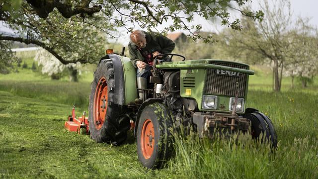 Le nombre d'exploitations agricoles baisse (image d'illustration). [KEYSTONE - GAETAN BALLY]