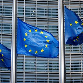 Le projet de mandat de négociations avec l'UE est approuvé par la commission de politique extérieure du National (image d'illustration). [Reuters - Johanna Geron]