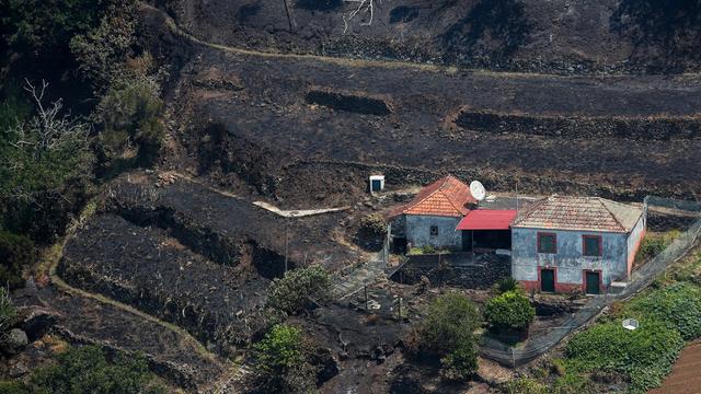 Le Portugal a fait appel à l'UE pour combattre l'incendie qui frappe l'île de Madère [KEYSTONE - HOMEM DE GOUVEIA]